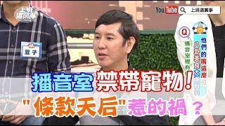 播音室禁帶寵物 條款天后惹的禍!?【上班這黨事-精華片段】