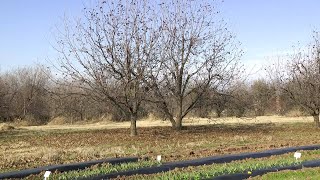 Canadian County farmer struggles with rising property taxes