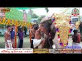 🔴 live day 5 17 01 2024 sheeveli thiru ulsavam 2024 ernakulathappan shiva temple ernakulam