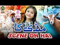 Mandi Ka Scene On Hai || Aayat Arfat || New Mandi Song 2023 || Official Video || Safa Islamic