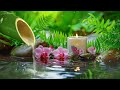 calming meditation music with water sound bird singing 🌿 relaxing music sleep music spa yoga 1