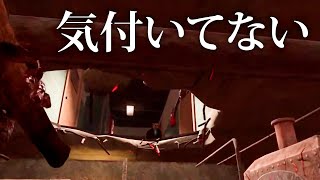 【DBD】ハントレス使いの間では有名な狙い場所【なな切り抜き】