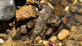 DOUBLE! 2-for-1 Arrowhead and Blade Find in KY Creek