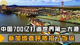 中国700亿打造世界第一大港，吞吐量超美总和，新加坡直呼抢饭碗