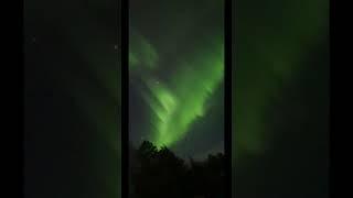 มาดูแสงเหนือในยามค่ำคืน ยืนหน้าบ้านก็ได้เห็นแสงเหนือ Aurora Sweden