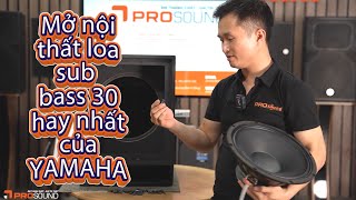 Mở Nội Thất Loa SUB Yamaha DXS12 MKII Bass 30 Hay Nhất Của Hãng - Kỹ Tới Từng Chi Tiết