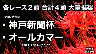 神戸新聞杯2023・オールカマー2023 [競馬予想]