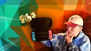 Is a 16 dollar switch case any good?