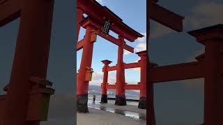 大鳥居　嚴島神社がシンボルの安芸の宮島　  広島県廿日市市宮島町1-1　　#広島 #travel #神社 #広島県 #宮島