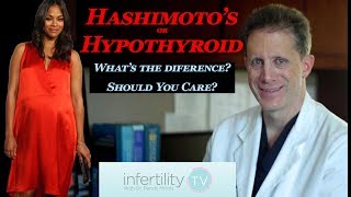 Hashimotos, Hypothyroid and Fertility| Finally! A clear and logical explanation from Dr. Morris