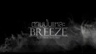 ตามนั้นแหละ  - BREEZESOLOIST (Official Audio)  (Yashinhigh)