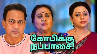 லூசு பாட்டி| Baakiyalakshmi Serial Today Episode| Review 1| 22nd  February 2025| Vijay tv Serial rev