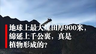 地球最大的煤田厚900米，綿延上千公裏，真是植物形成的？ ｜煤的形成｜最大煤田｜石炭紀｜宇宙之思20241202