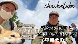 【柴犬×登山】茶々丸隊長と行く金剛山 中編