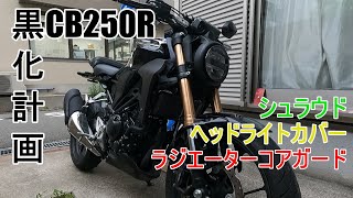 CB250R カスタム 黒化計画  シュラウド＆ヘッドライトカバー交換　ラジエータコアガード取り付け(CXEPI Honda ホンダ CB300R ラジエータグリルガード)