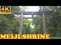 Meiji Shrine - Meiji Jingu in 4K, Tokyo - 明治神宮 - Japan As It Truly Is