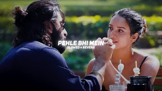 Pehle Bhi Mein (Slowed + Reverb) - Vishal Mishra | BARATO NATION