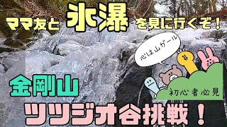 【大阪　金剛山　ツツジオ谷コース】氷瀑 下山千早城跡経由2022/02/06