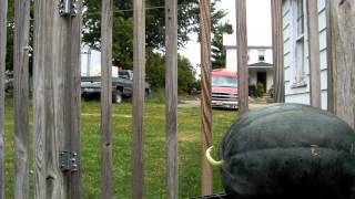 TASTING THE MOST EXPENSIVE WATERMELON ON EARTH AT HEAVENLY HARVEST FARM