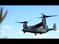 u.s. marines air assault • exercise forrest light 2020