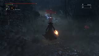 Bloodborne Invasions, but I found something interesting