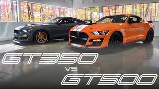 Shelby GT500 vs GT350R | Which Is The Ultimate Mustang?