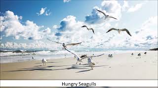 Hungry Seagulls by Elena Kats-Chernin (from “Lyrical Flute Encores” by Karen North, ed.)