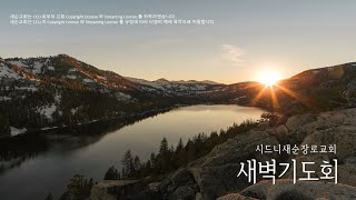 2022년 10월 28일 새벽기도회 (사무엘하 23:1-17 | 전진우 목사)