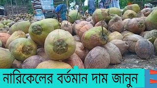 দাম কমলো নারিকেলের।। সস্তায় নারিকেল কিনে ব্যবসা করুন।।