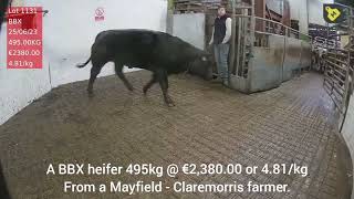 Balla Mart a heifer lot 1131 @ 4.81/kg from a Mayfield - Claremorris farmer.