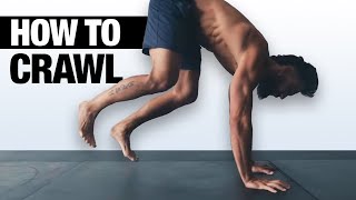Beginner's Ground Movement (Crawling Basics Routine)