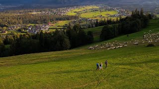 Pieniny, Spisz, Podhale: Ferula, klag, strąga – pasterski słowniczek