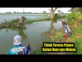 Ikan MAS,,,!!Yang Lain Pada Strike Tawes,,Saya Malah Banyak Dapat Ikan MAS