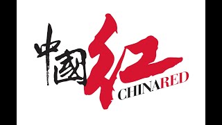 中國紅雙百IDA宣傳片 (2020)