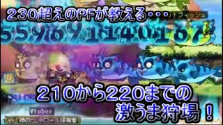 パスファインダー初心者＆復帰勢必見！２３０超えのパスファインダーが２２０までにお世話になった超爽快感狩場を教えたったｗｗｗ【メイプルストーリー】