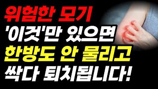 모기, 한방에 싹쓸이 했습니다! '이것'만 있으면 얼씬도 못합니다! 이제 살충제가 필요 없습니다!