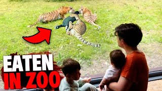 This Man Gets EATEN ALIVE By 3 Tigers After Sneaking Into Zoo Enclosure!