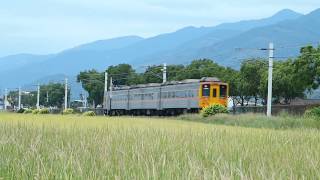 區間車4631次@關山站北德高段