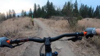 Hardtail Roscoe8 downhill shred