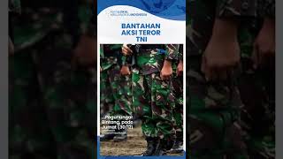 Kapendam Buka Suara soal Adanya Kabar Aksi Teror TNI di Kiwirok: Itu Berita Hoaks, Situasi Kondusif