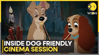 Paris: Special Screening Of 'Lady And The Tramp' With Dogs | World News | WION