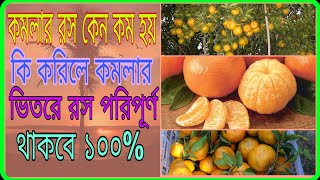 কমলার ভিতরে রস কেন কম হয় ও রস কম হলে কি করনীয়!