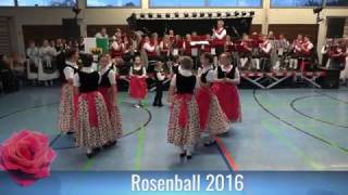 2016 11 12 Rosenball in Singen _01