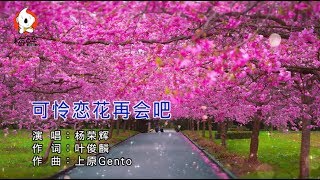 楊榮輝 - 可憐戀花再會吧【閩南語】（高清1080P）KTV原版