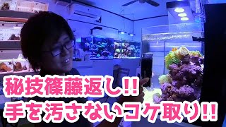 匠の技でコケ取り用マグネットクリーナーを操る篠藤氏【トールマンTV切り抜き】