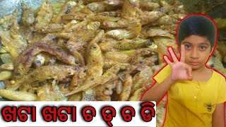 ଖଟା ଖଟା ଚ ଡ୍ ଚ ଡି // tomato chuna machhara khata recipe // odia vlogs // daily vlog //fishlovers