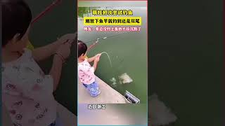 挑戰釣魚界的新寵兒！