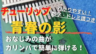 チューリップ「青春の影」初心者向け簡単数字・ドレミ楽譜つき 【カリンバKalimba Cover with Tabs】Seishun no Kage ／ TULIP