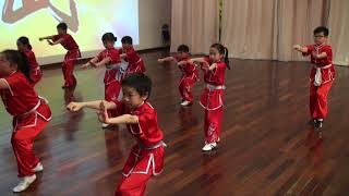 20180513 龍武館 (小學B)~公開組初級南拳季軍 (第二届全港中小學武術錦標賽 2018) HD