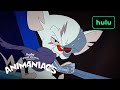 Animaniacs x MasterClass | Ep. 3 Disguises and the Art of Subterfuge | Hulu